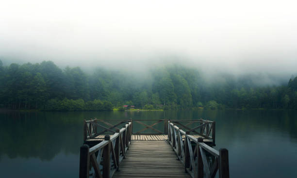 istock Bridge in the Fog 1267520296