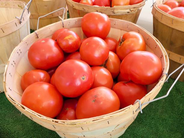 tomates maduros em cesta de alqueire de madeira - tomato basket farm bushel - fotografias e filmes do acervo