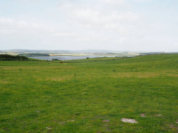 istock Rural Northumberland landscape 1267525234