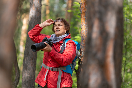 Senior birdwatcher woman with camera in a forest.