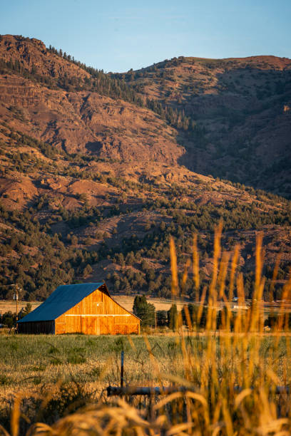 istock Barn in Field on a Farm 1267532896