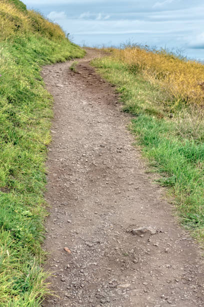 istock Moorland footpath on the cliffs overlooking Lantivet Bay, Cornwall 1267538837