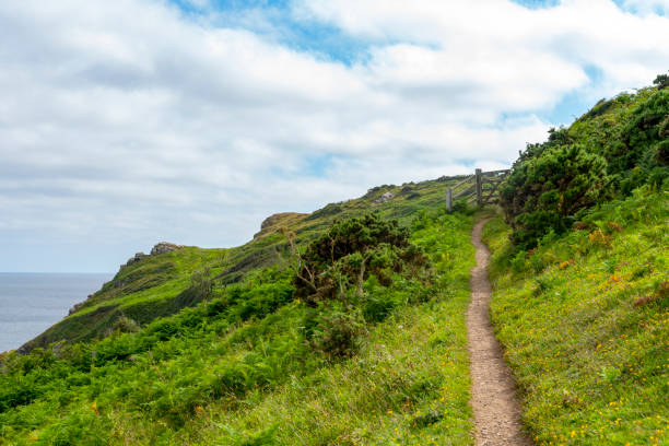istock Moorland on the cliffs overlooking Lantivet Bay, Cornwall 1267539001