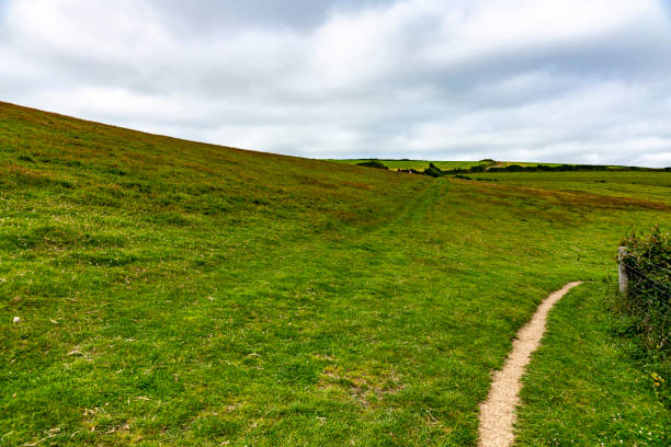 istock Moorland on the cliffs overlooking Lantivet Bay, Cornwall 1267539201