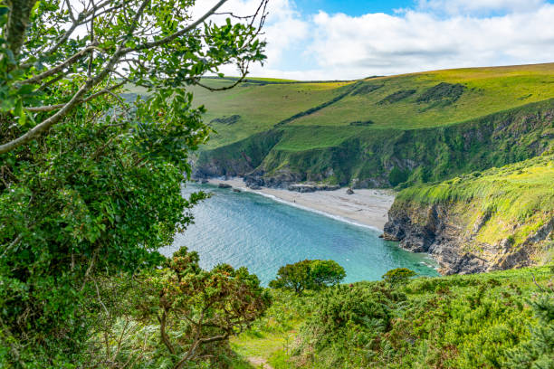 istock Moorland on the cliffs overlooking Lantic Bay, Cornwall 1267539320