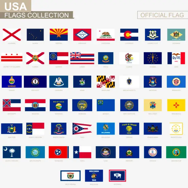 Vector illustration of State flags of United States of America, official vector flags collection.