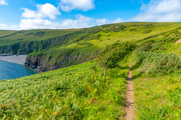 istock Moorland on the cliffs overlooking Lantic Bay, Cornwall 1267540510
