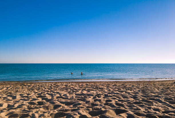 istock beach in summer morning 1267541290