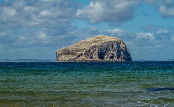 istock Bass Rock, Scotland. 1267541486