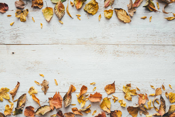 istock Dry Autumn Leaves On White Planks 1267542292