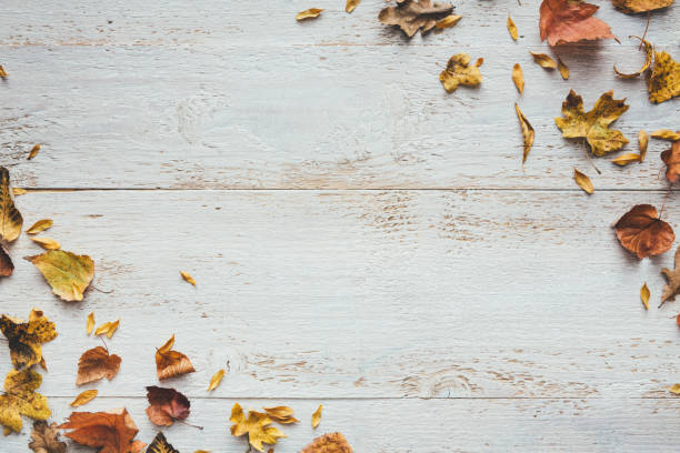 istock Dry Autumn Leaves On White Planks 1267542401