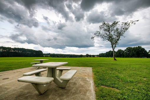 Raleigh North Carolina Cityscapes