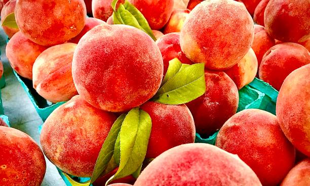 farmers market baskets of fresh georgia peaches - peach nectarine fruit portion imagens e fotografias de stock