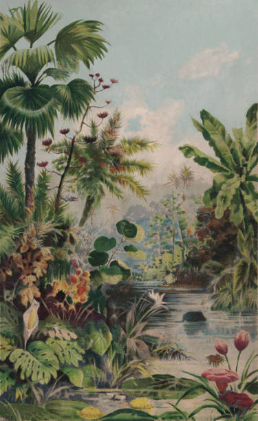 ilustrações de stock, clip art, desenhos animados e ícones de jungle landscape, chromolithograph, published in 1895 - chromolithograph