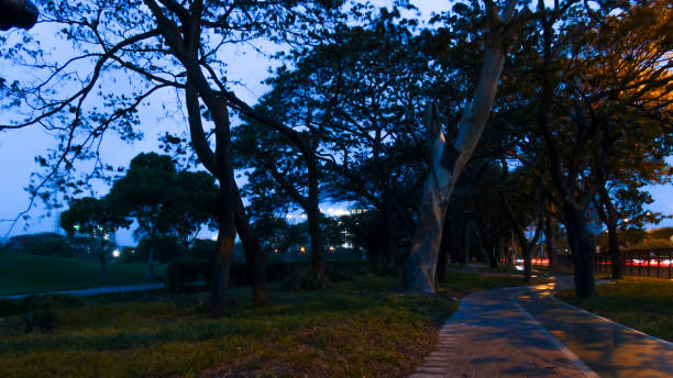 istock Sunrise at the park 1267546134
