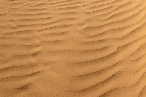 istock The sand changes shape due to the wind to form sand ripples and jagged lines 1267551386