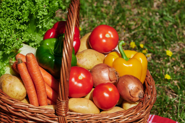 istock Basket of different vegetables in the sunlight. 1267551761