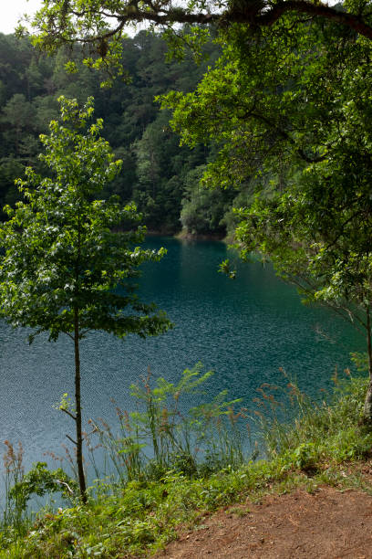 istock Blue lake in Chiapas, Mexico 1267552979