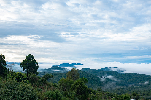 Niebla sobre las montañas y selvas de Chiapas, México photo