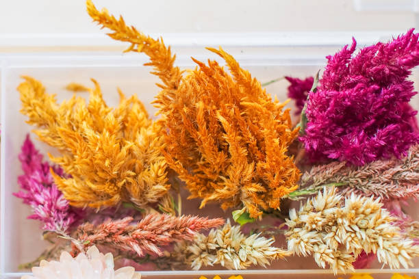 istock Dried flowers made at home 1267553209