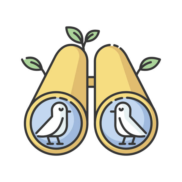 ilustrações, clipart, desenhos animados e ícones de birdwatching rgb ícone de cor - observação de pássaros