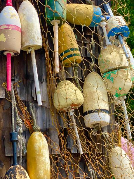 istock Buoys York, Maine 1267558979