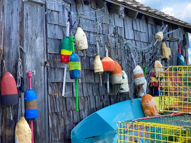 istock Buoys York, Maine 1267559620