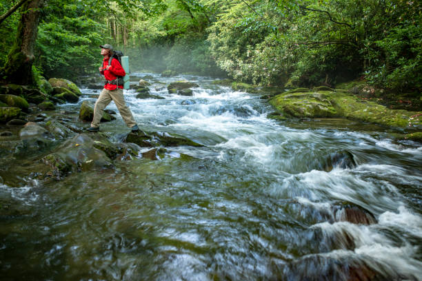 Hiker in the Great Smoky Mountains National Park Image of a backpacker looking up at trees while hiking across a river in the great smoky mountains national park. great smoky mountains national park photos stock pictures, royalty-free photos & images
