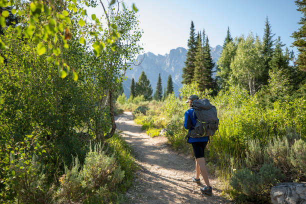 istock Teenage boy doing trail hiking 1267560375