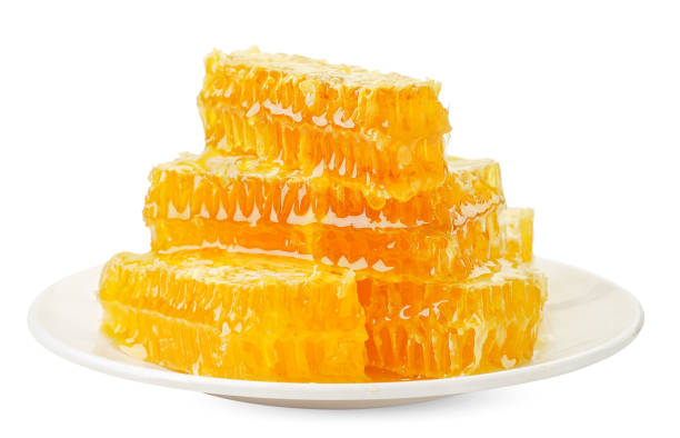 istock Honey comb on a plate on a white background. Isolated 1267561023