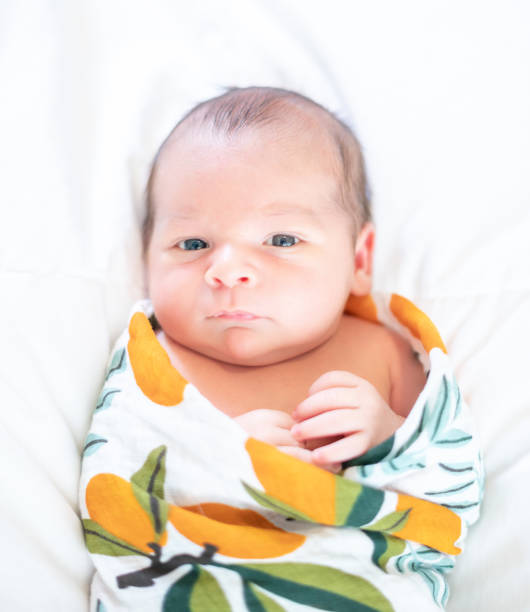 istock Swaddled newborn baby portrait 1267564018