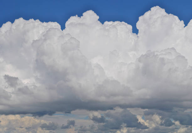 Panoramic view of white cumulus clouds against a blue sky.