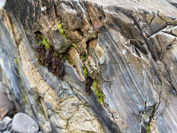 istock Rock Surface- Kennebunkport Maine 1267564939
