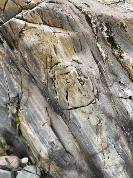 istock Rock Surface- Kennebunkport Maine 1267564946