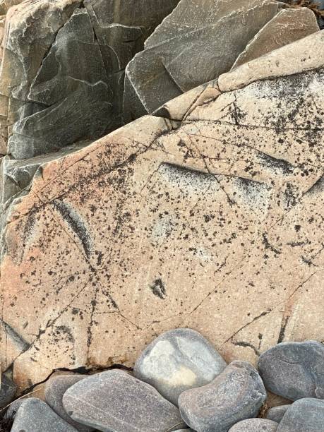 istock Rock Surface- Kennebunkport Maine 1267564990