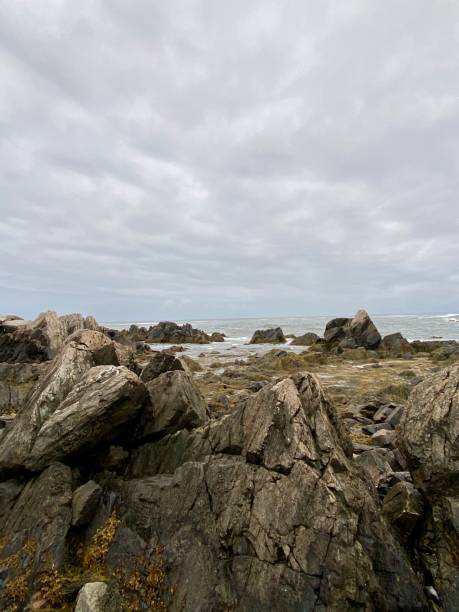 istock Rock Surface- Kennebunkport Maine 1267564991
