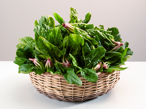 Spinach cooked in white dish isolated on white with clipping path included