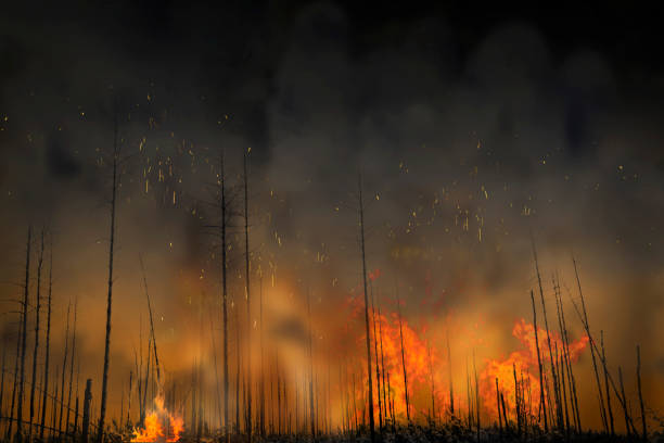 A close-up of the final small flames flickering over the burnt ground, leaving behind ashes and charred remnants of trees. Wisps of smoke rise from the scorched earth, capturing the aftermath of a devastating wildfire. The scene reflects destruction but also the quiet beginning of nature’s recovery.