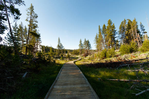 istock The road goes on 1267577380