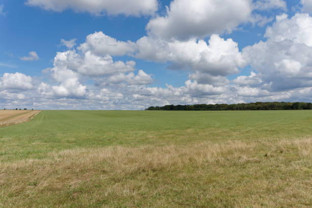 istock English summer landscape 1267579440