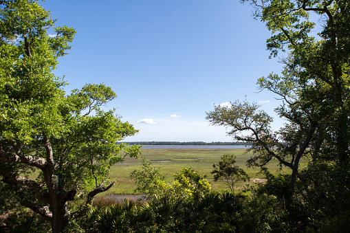 Coastline of Crooked River State Park in Georgia in St. Marys, GA, United States