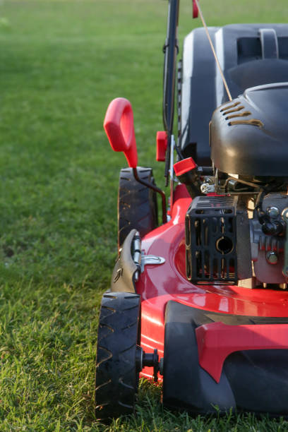 istock Red lawn mower on the meadow, close up 1267584508