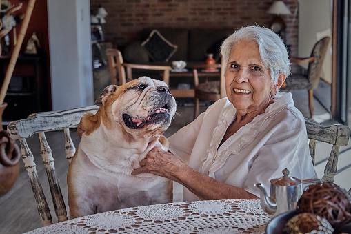Senior Grandmother playing with her Bulldog pet