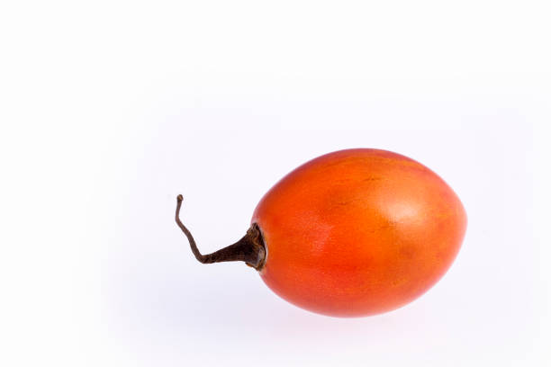 Organic exotic fruit tamarillo - Solanum betaceum