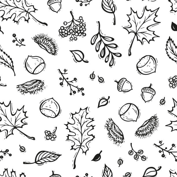 ilustrações de stock, clip art, desenhos animados e ícones de autumn vector seamless pattern. hand drawn doodle different tree leaves, chestnuts, rowan, flowers and berries. black and white background - chestnut