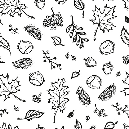 Autumn Vector Seamless Pattern. Hand Drawn Doodle Different Tree Leaves, Chestnuts, Rowan, Flowers and Berries. Black and White Background