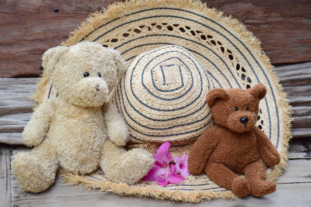 Teddy Bear with Vietnamese Conical Hat (Non La) on white background