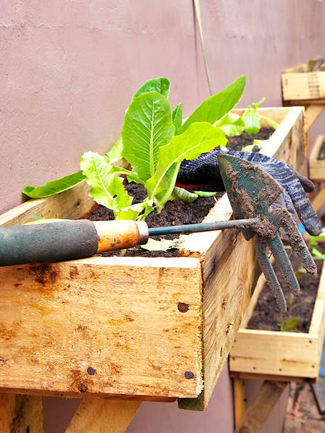istock Garden tools and glove on garden box 1267590402