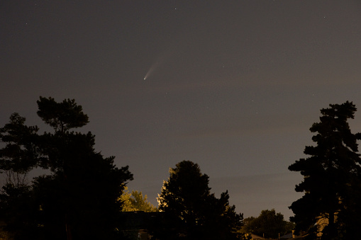 Looking northwest after sunset, Comet Neowise shoots over silhouetted pine trees in a south Denver, Colorado park July 15, 2020.
