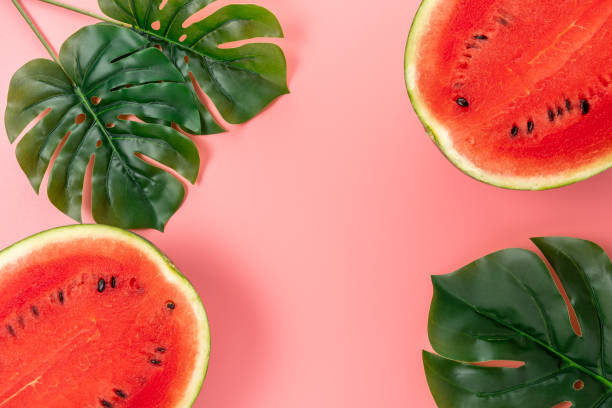 istock Watermelon with palm tree leaf on pink background. Creative minimal summer concept. 1267594737